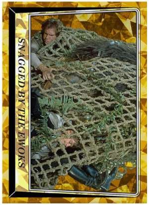 Snagged by the Ewoks