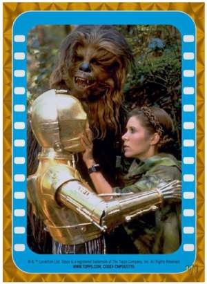 Princess Leia, Chewbacca and C-3PO