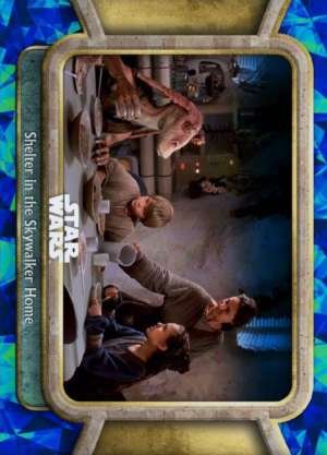 Shelter in the Skywalker Home