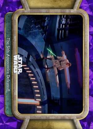 The Sith Apprentice Defeated!