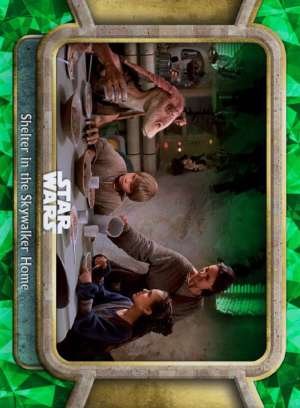 Shelter in the Skywalker Home