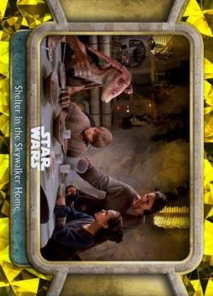 Shelter in the Skywalker Home