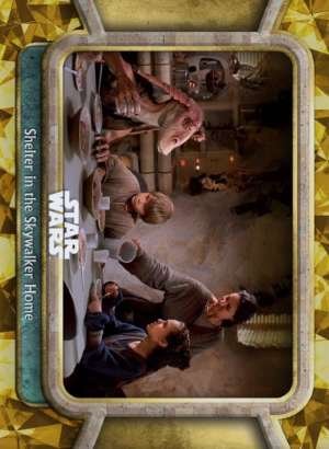 Shelter in the Skywalker Home