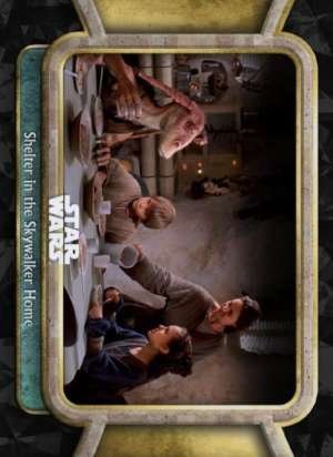 Shelter in the Skywalker Home