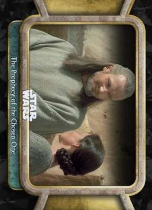 The Prophecy of the Chosen One