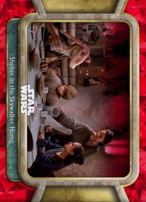 Shelter in the Skywalker Home