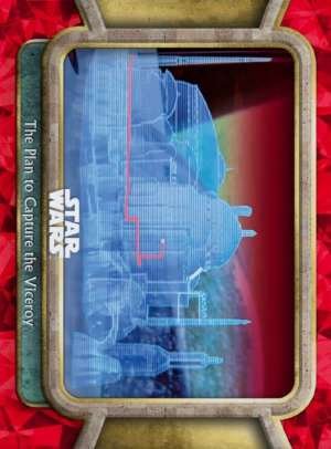 The Plan to Capture the Viceroy