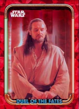 A Moment of Calm for Qui-Gon Jinn