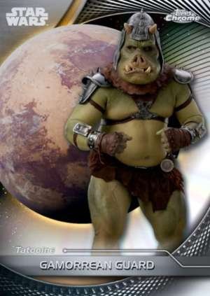Gamorrean Guard - Tatooine