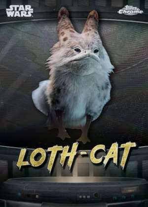Loth-cat - Lothal