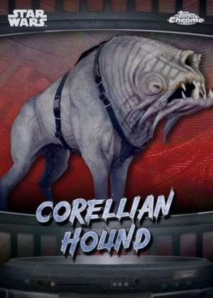 Corellian hound - Corellia