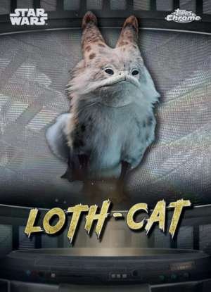 Loth-cat - Lothal