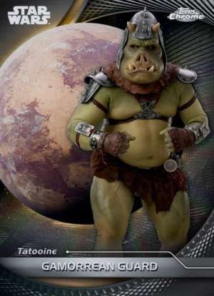 Gamorrean Guard - Tatooine
