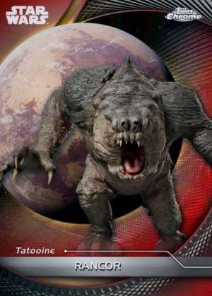 Rancor - Tatooine