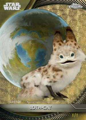 Loth-cat - Lothal
