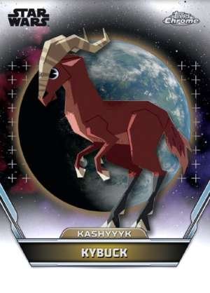 Kybuck – Kashyyyk
