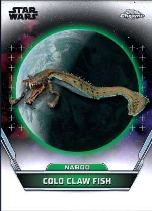 Colo Claw Fish – Naboo
