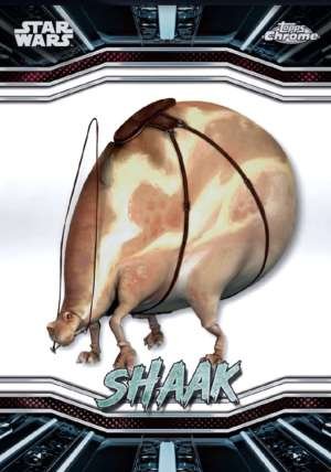 Shaak – Naboo