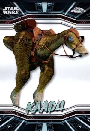 Kaadu – Naboo