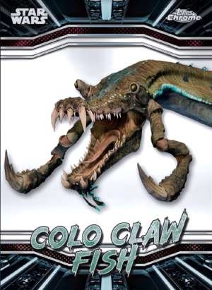 Colo Claw Fish – Naboo