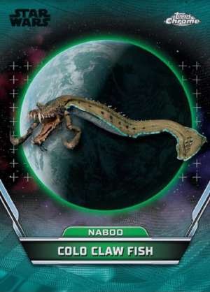 Colo Claw Fish – Naboo