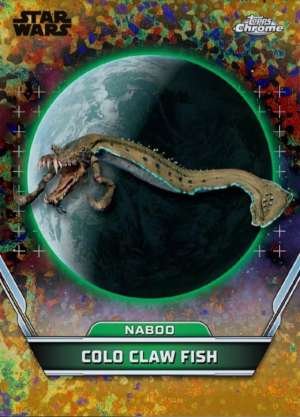 Colo Claw Fish – Naboo