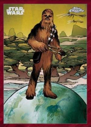 Chewbacca – Kashyyyk