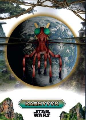 Can-Cell – Kashyyyk