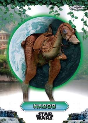 Kaadu – Naboo