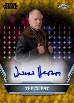 Werner Herzog as The Client