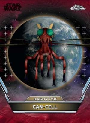 Can-Cell – Kashyyyk