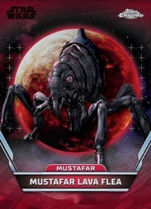 Mustafar Lava Flea – Mustafar
