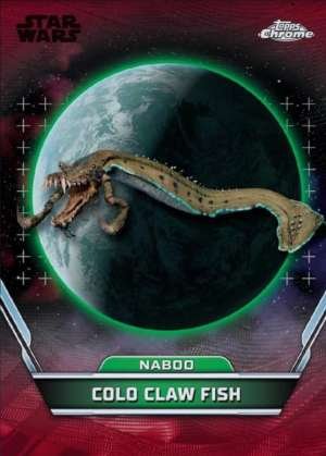 Colo Claw Fish – Naboo