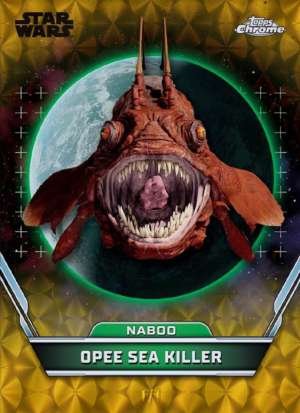 Opee Sea Killer – Naboo