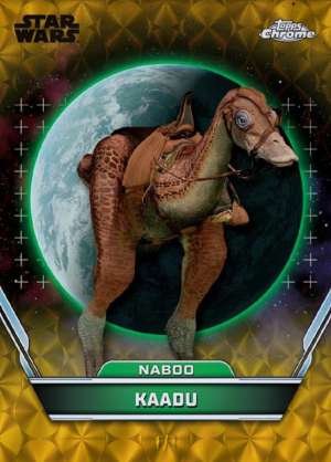 Kaadu – Naboo