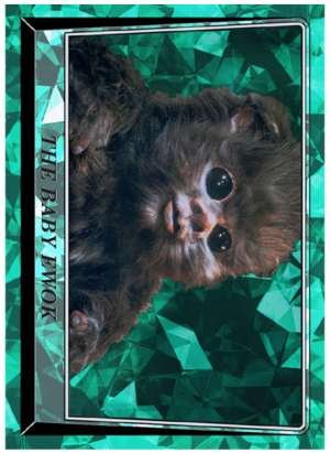 The Baby Ewok