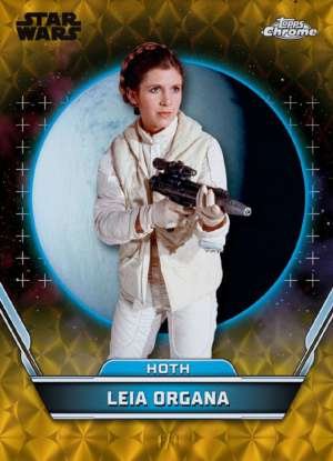 Leia Organa - Hoth