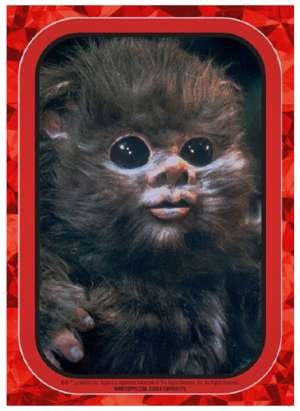 Baby Ewok