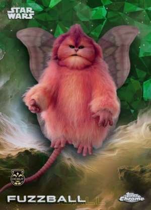 Fuzzball DEBUT