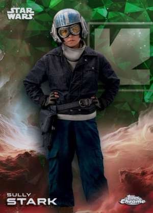 Sully Stark