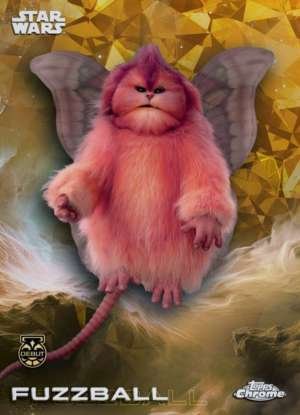 Fuzzball DEBUT