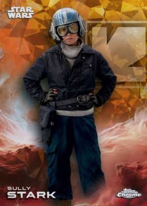 Sully Stark