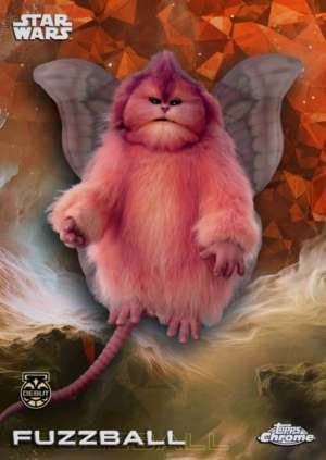 Fuzzball DEBUT
