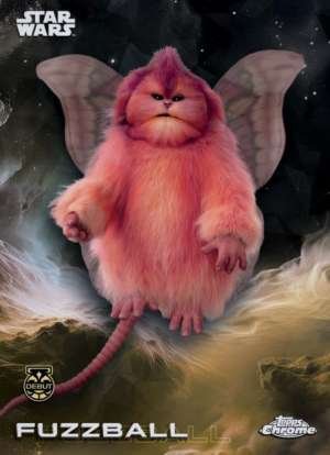 Fuzzball DEBUT