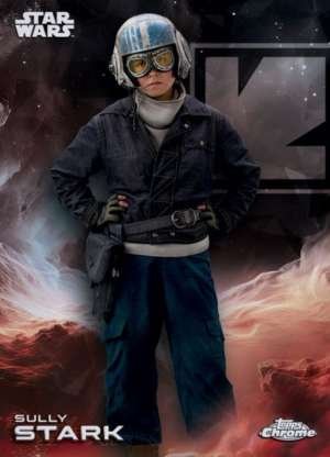 Sully Stark