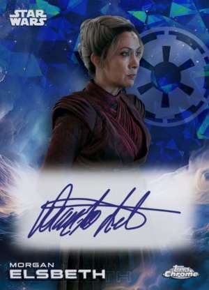 Diana Lee Inosanto as Morgan Elsbeth