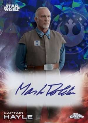 Mark Rolston as Captain Hayle