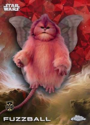 Fuzzball DEBUT