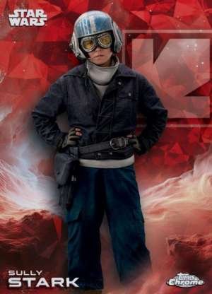 Sully Stark