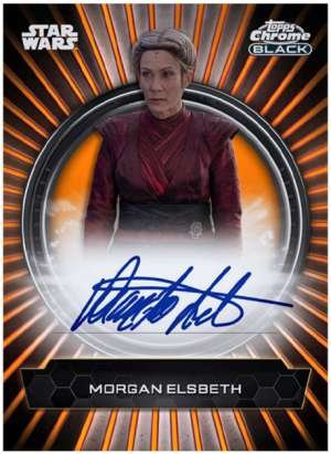 Diana Lee Inosanto as Morgan Elsbeth